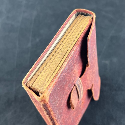 6 Tintype Photos Family Children Gramps Mom Dad Tinted 3x4" Leather Album READ - Picture 19 of 22