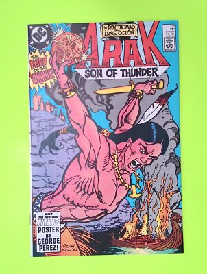 Arak, Son of Thunder #31 1984 DC Comics Mid Grade Comic Book A74-164