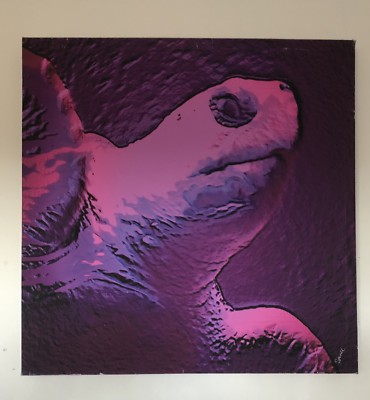 LILA SCHILDKRÖTE LEINWANDBILD 40  X 40 