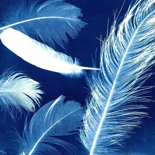 12 sheets SUN ART Light Sensitive Photo Paper Solar Craft Shadow Science 4x6 - Picture 4 of 5