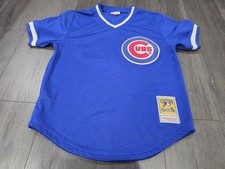 Medium Ryne Sandberg Royal Chicago Cubs 1984 Authentic Batting Practice Jersey