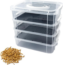 Mealworm Breeding Kit for Reptiles, Birds, Chickens, and More - High Capacity
