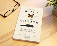 On the Wings of the Condor
