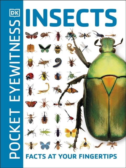 Isdp Pocket Eyewitness Insects: Facts At Your Fingertips - Image 2