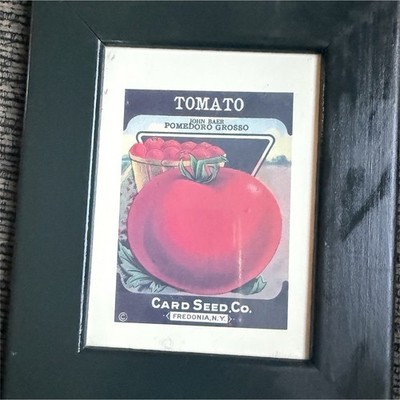 Card Seed Co. Framed Tomato Advertising Label Red Green Black White Agriculture
