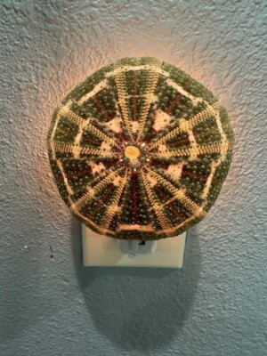 ALFONSO SEA URCHIN SHELL NIGHTLIGHT KITCHEN BATHROOM HALLWAY NURSERY UNIQUE GIFT