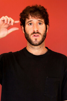 Lil Dicky Hip Hop Rapper Music Singer Painting Wall Art Home - POSTER ...