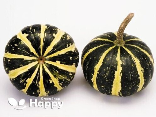 CLIMBING FLOWERS - Vines - Thunbergia Morning Glory Sweet Pea - Flower seeds - Picture 41 of 121