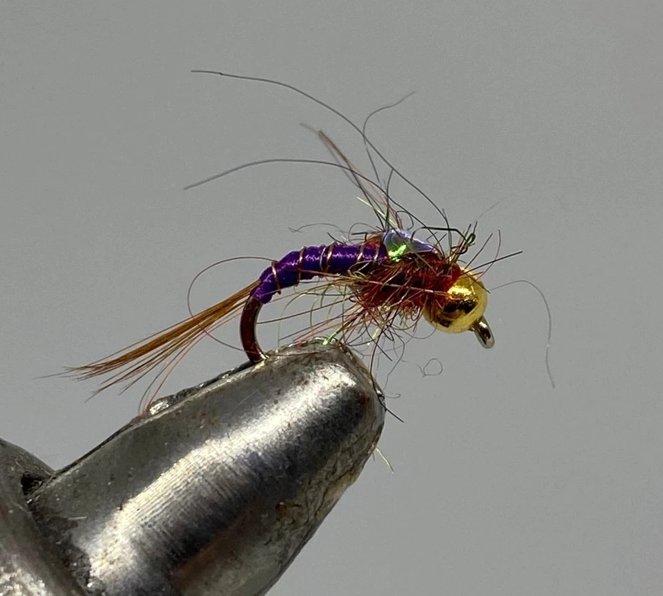 STRIKE FLY COMPANY One Dozen (12) - Tungsten Beadhead Rainbow Warrior - Purple - Nymph