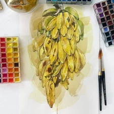Original Watercolor Panamanian Bananas 11.5x16.5 Painting Unique Artwork