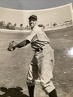 William Werber Cincinnati Reds Baseball Club Co Stamp Vintage Photo — photo 4