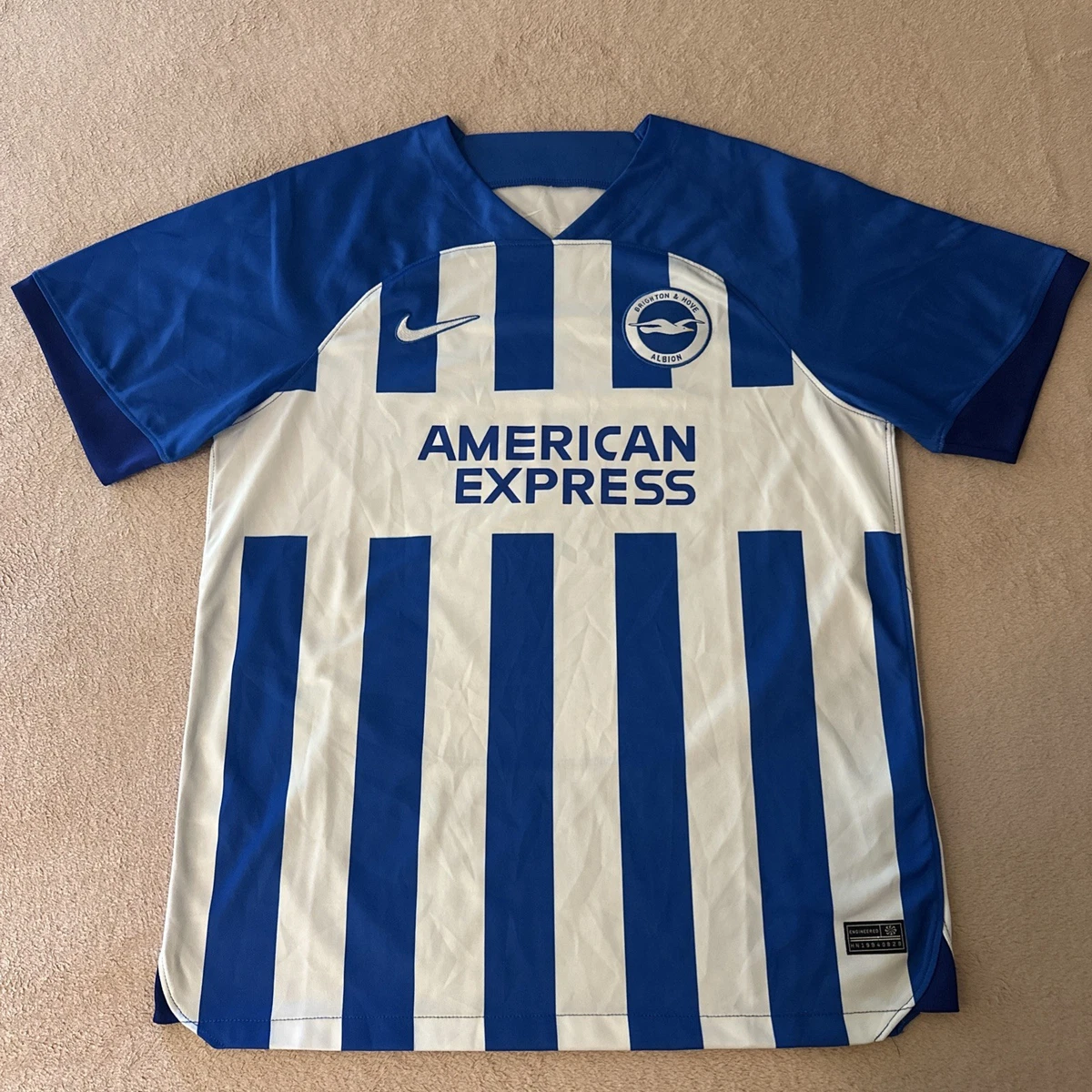 Brighton & Hove Albion International Club Soccer Fan Apparel and