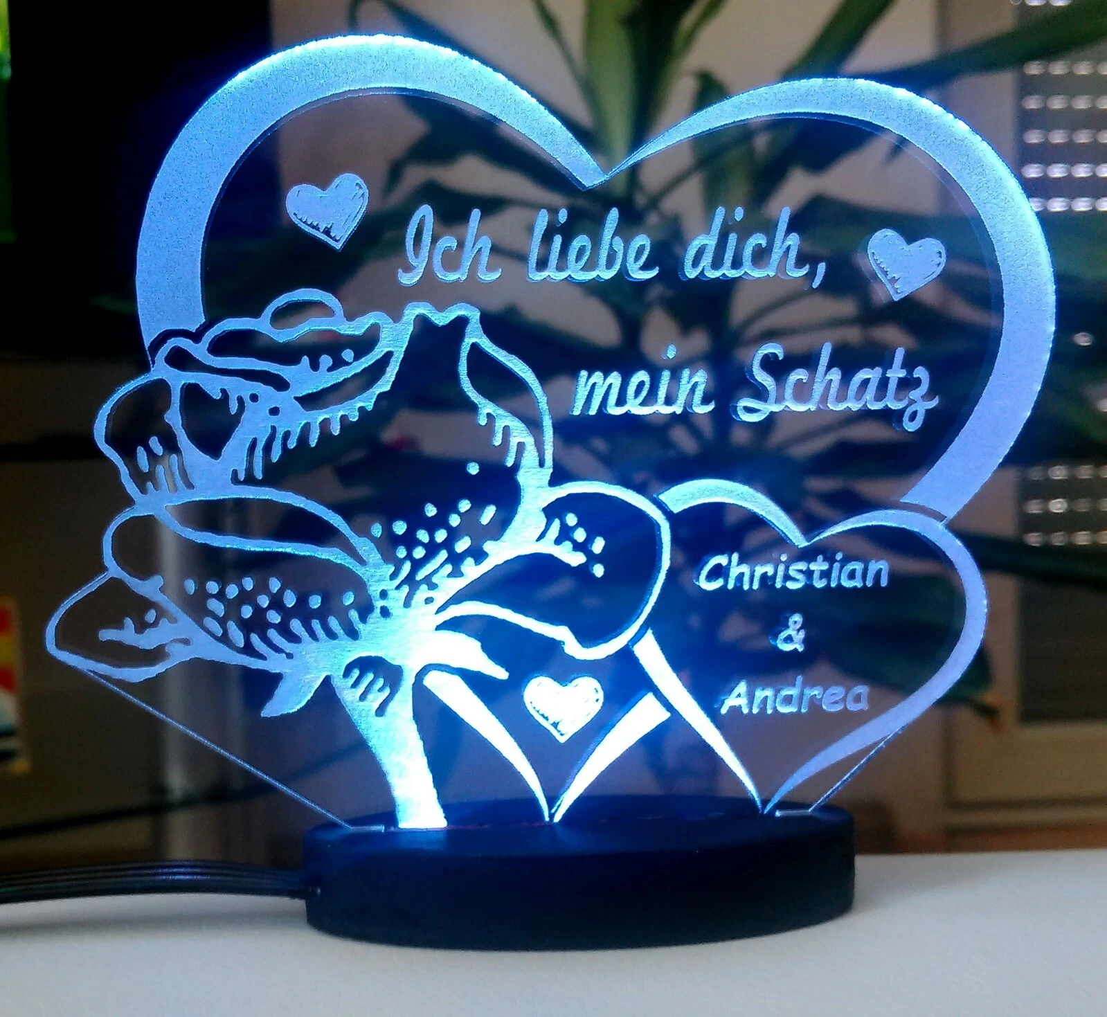 Bild 11 von 12