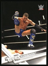 2017 Topps WWE Tyson Kidd #2