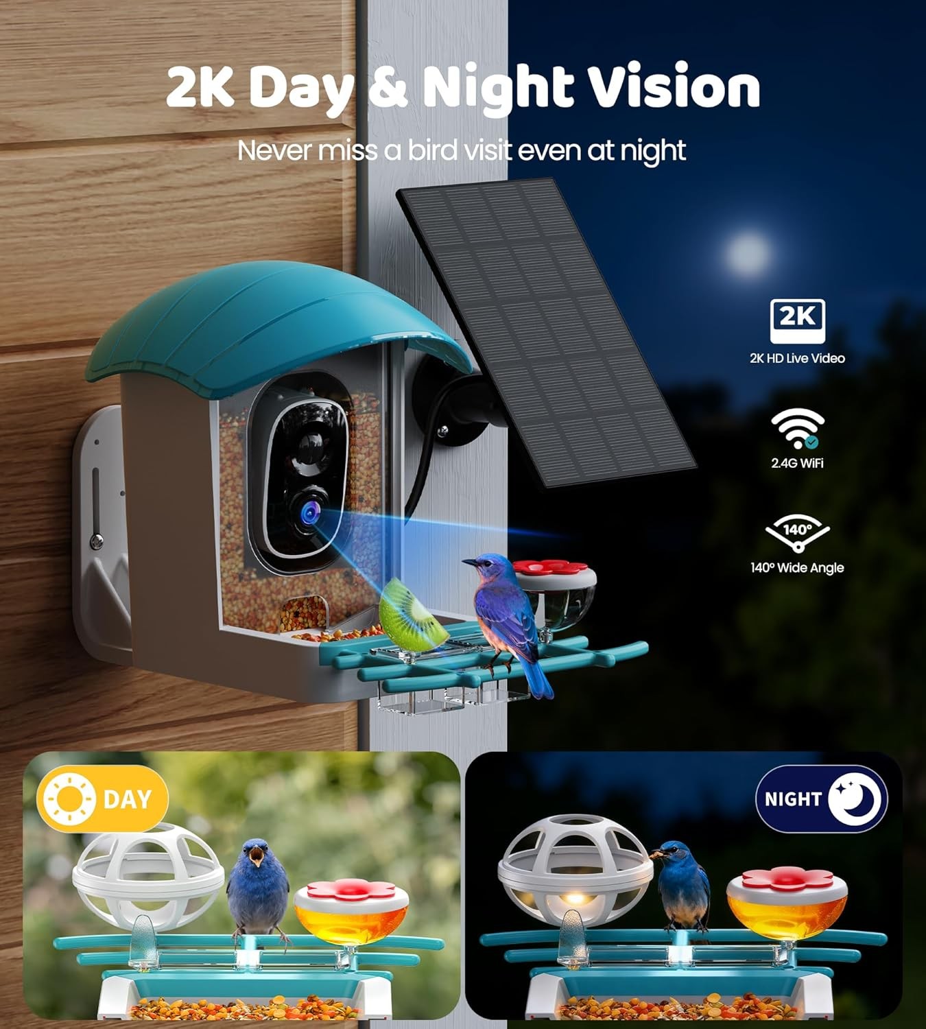 Bird Feeder with Camera Solar Powered: Smart Feeders for Outdoors Blue 