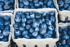 Freeze-Dried Blueberries