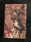 AMAZING SPIDER-MAN #19 LEE BERMEJO  VARIANT SPIDERMAN PUNISHER 1