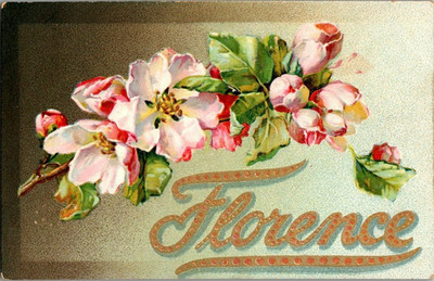 Tuck Name Series Florence Pink Floral Blossoms Antique Postcard