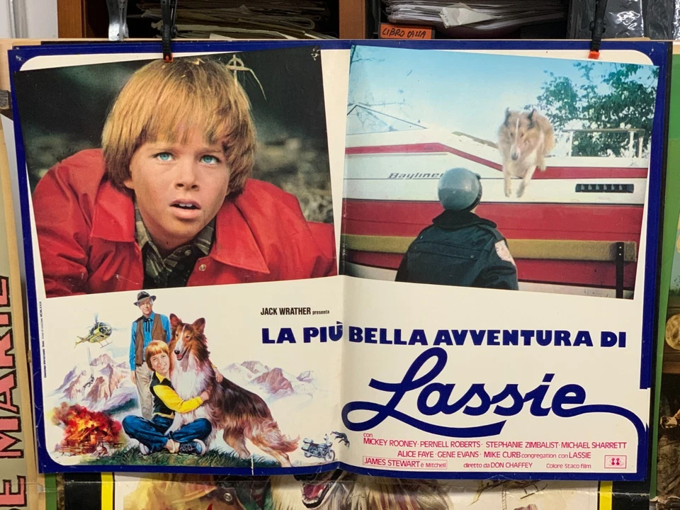 Manifesto e 5 fotobuste originale La più Bella avventura di LASSIE - Immagine 3 di 4