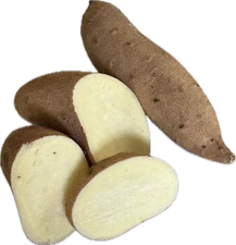 Fresh White Sweet Potatoes Yams - White Flesh - By The Pound - USA Produce Yam