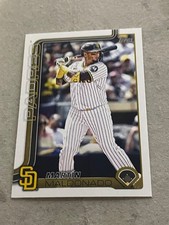 2025 Topps Update Series - Martin Maldonado #US76