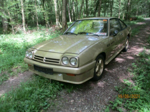 Weniger als 44 kW (58,96 hp) Benzin Oldtimer Automobile