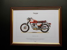 TRIUMPH  TIGER TR7V MOTOR CYCLING PRINT FRAMED