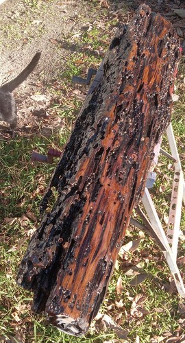 50"X7"X10" Mantel Underwater Recovered Old Growth Pecky REAL Sinker Cypress Wood - Picture 7 of 21