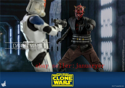 Figurine Hot Toys TMS024 - Star Wars : The Clone Wars - Darth Maul pas cher