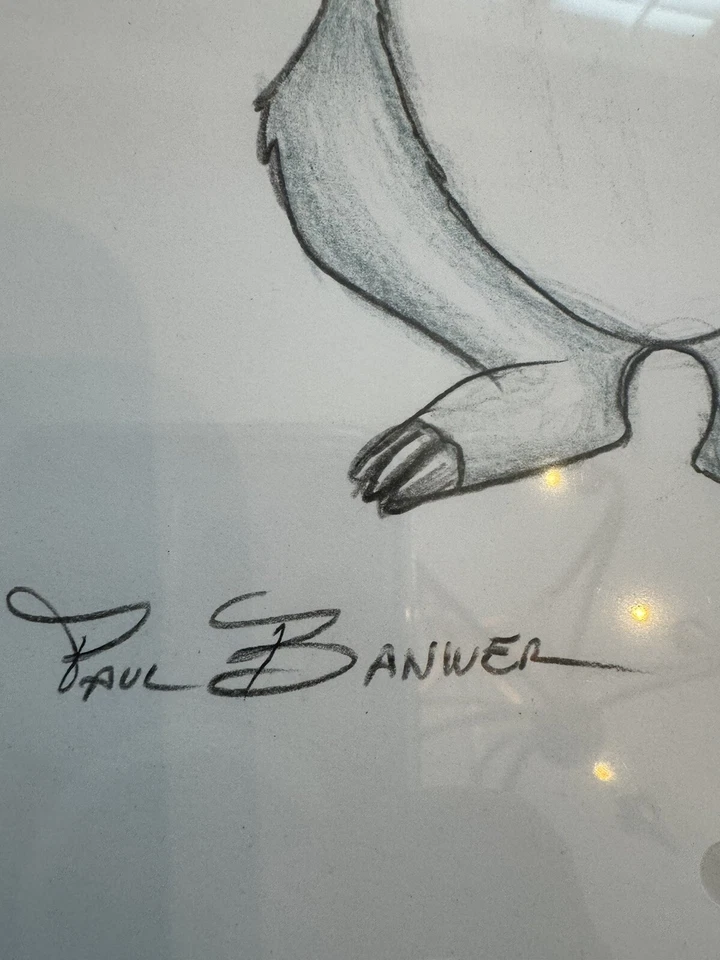 Disney Jungle Book Baloo Original Signed Sketch Drawing By Paul Banwer - Image 4 of 4