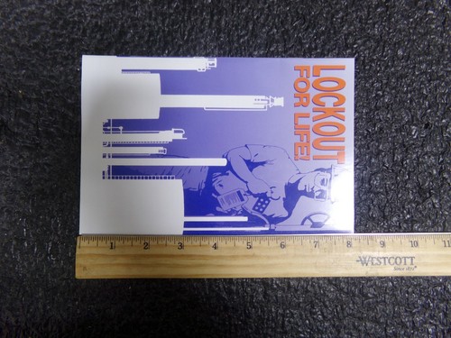 BRADY Lockout Booklet, English, PK10 65555, 15Y915 - Bild 4 von 4