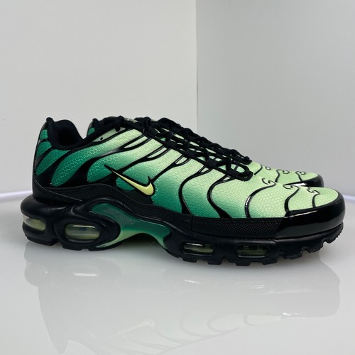 Nike Air Max Plus “Vapor Green Gradient” Men’s Size 11.5 DM0032-301