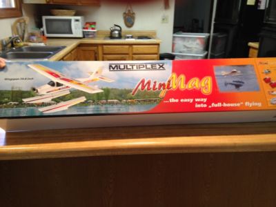 Multiplex Mini Mag RC Airplane - RxR Version