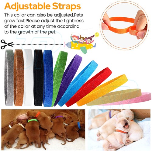 12 Colours Whelping ID Collar Bands Pet Puppy Collars Kitten Identification Tags - Picture 6 of 12