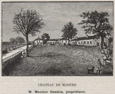 GRAVES. PODENSAC. Chateau de Mad&eacute;re. Gassies. Bordeaux. SMALL 1908 old print