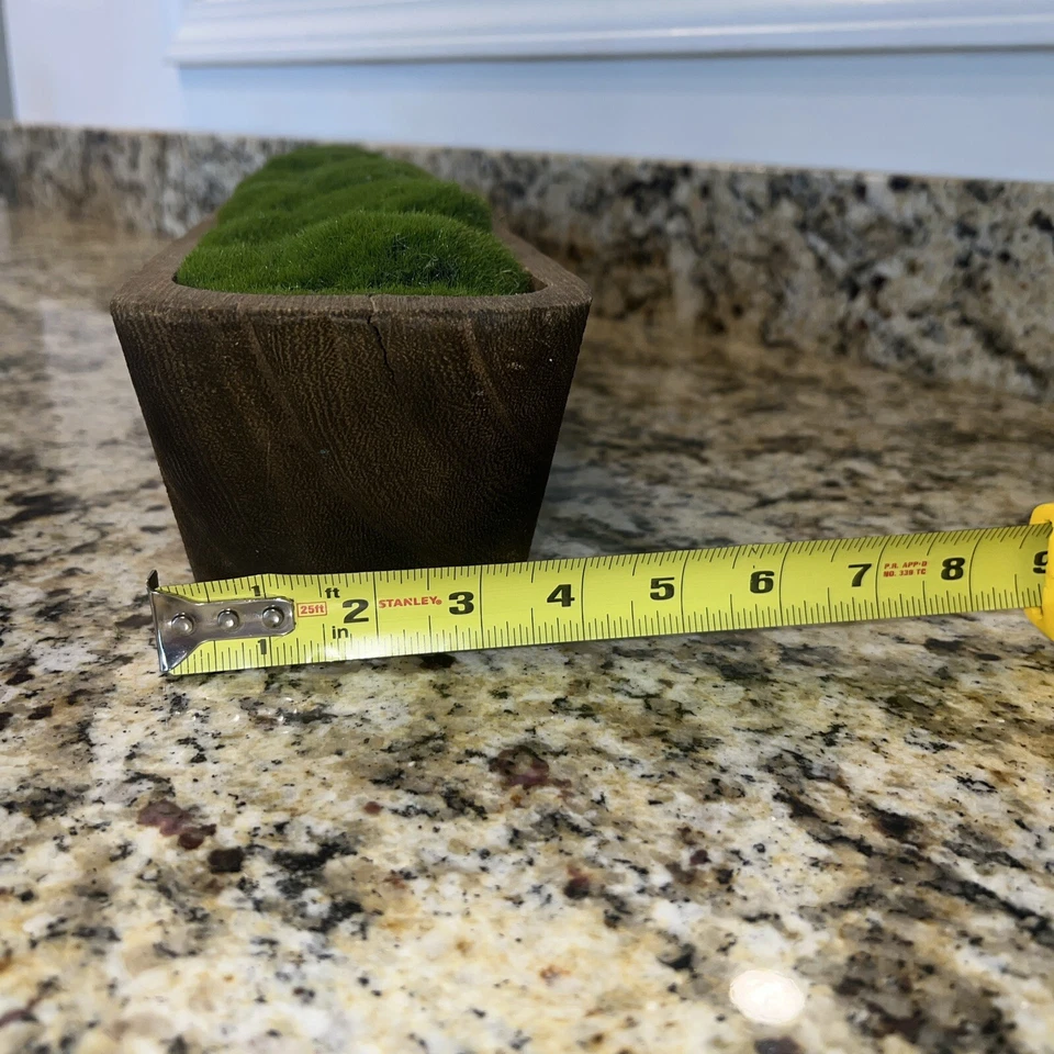 "Cuenco de madera largo decoración musgo 24"" de largo" Foto 4 de 4