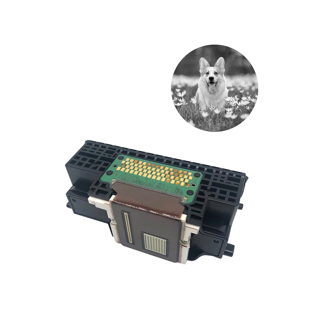 奈奈様確認用 LSL-1014AV取付台 LSN-D004 樹脂ナンバー枠 小型・中型横2灯用