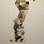 Foto 4 di 8