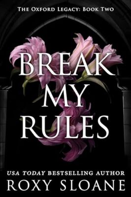 Break My Rules A Spicy Dark Ac - Paperback - VERY GOOD