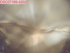 Bild 3 von 9