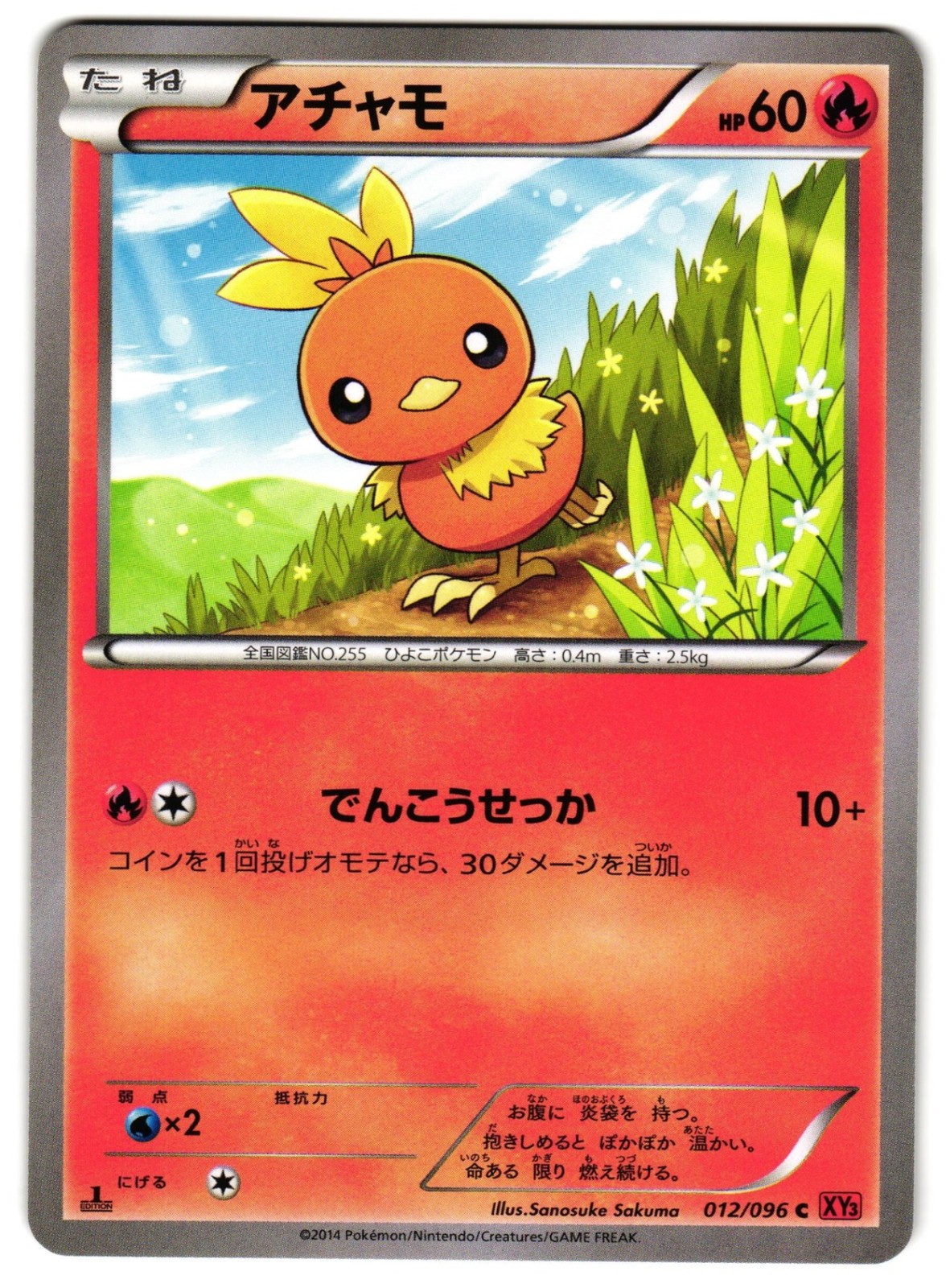TORCHIC 012/096 - NM - RISING FIST COMMON JAPANESE POKEMON CARD