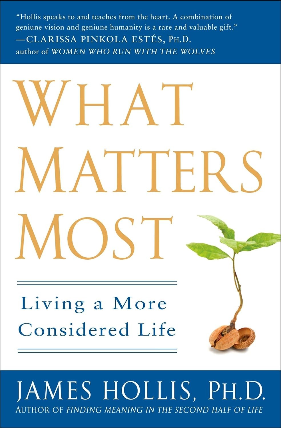 What Matters Most : Living A More Considered Life James (James Hollis) Hollis - Image 9