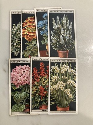1925 Wills's Flower Culture in Pots - Wills Zigarettenkarten - Karten aussuchen