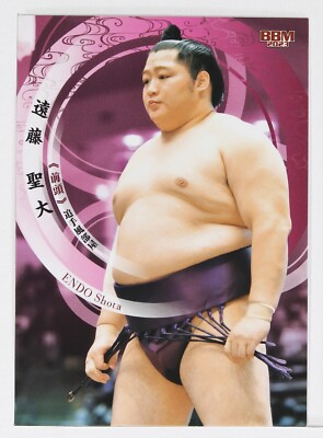 【SUMO】 魔法のパワーストーン prod by BAD ENDO ken様専用】 魔法のパワーストーン prod by BAD ENDO