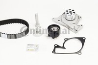 Continental Ctam CT1244WP1 Wasserpumpe Und Zahnriemensatz FüR Dacia, Nissan
