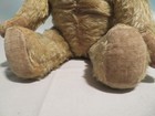 Vintage Mohair Steiff? Teddy Bear Paper Eyes — photo 9