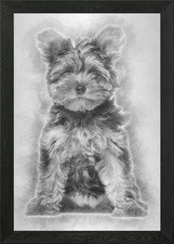 Yorkshire Terrier puppy 3 Framed Wall Art Poster Canvas Print Picture