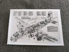 Canadair Argus Plane Cross Section Diagram Print Photo 12cm