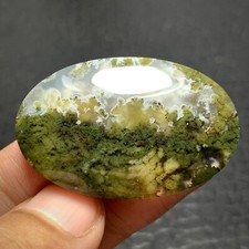 Scenic Moss Agate Cabochon 39x25x6mm High Quality 52 ct