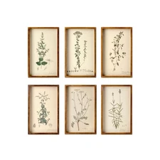 Framed Prints Collected Botanical Set of 6 Aged Natural Wood